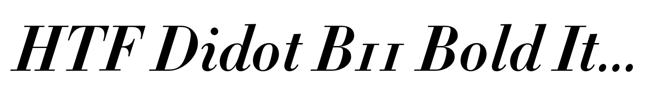 HTF Didot B11 Bold Italic